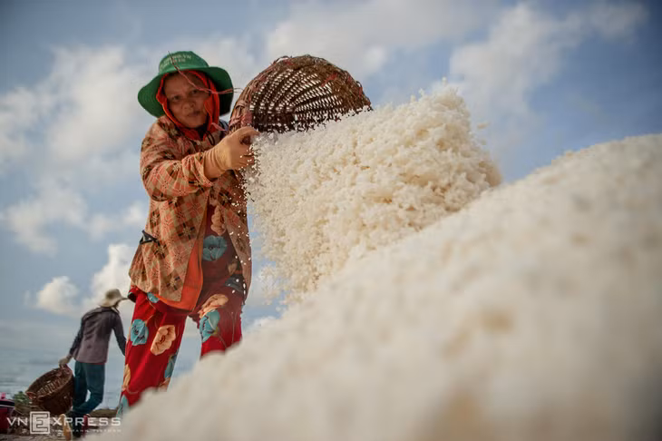 Cũng theo bà Mười, bản thân tham gia nghề để có thu nhập trang trải cuộc sống. Một phần vì đã quen với công việc này từ lâu. “Không làm nghề này, tôi cũng không biết làm gì. Không riêng tôi, rất nhiều hộ dân ở xã Điền Hải cũng chỉ chọn và gắn bó duy nhất với nghề làm muối. Đây như một nghề truyền thống của chúng tôi”, bà Mười cho hay.