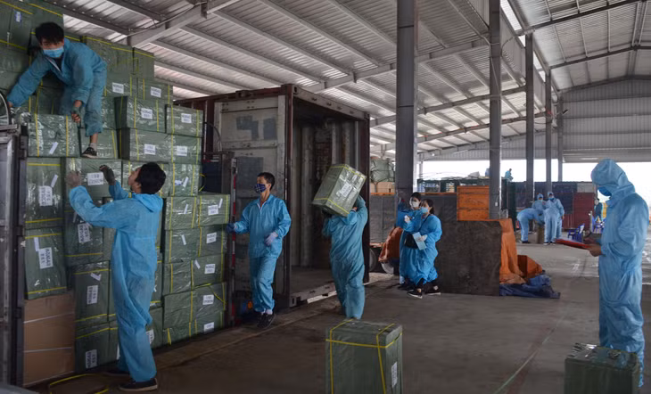 Các tổ công nhân bốc xếp tại bãi kiểm tra hàng hóa công ty bố trí khoảng cách làm việc mỗi tổ 5m.