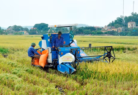 Hiện nay, việc ứng dụng cơ giới hóa trong sản xuất lúa đã được bà con nông dân trong tỉnh mạnh dạn đầu tư. Trong ảnh: Áp dụng cơ giới hoá vào sản xuất nông nghiệp của nông dân xã Thuỷ An (Đông Triều).