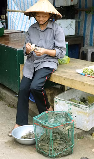 Cà ra được bày bán ở chợ Ba Chẽ.