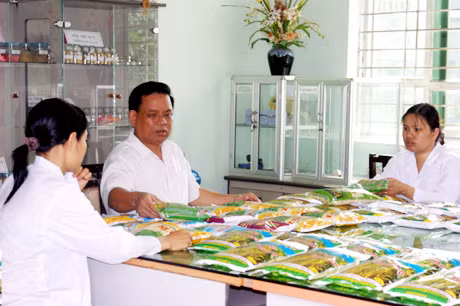Các cán bộ kỹ thuật Công ty kiểm tra mẫu các giống lúa mới.