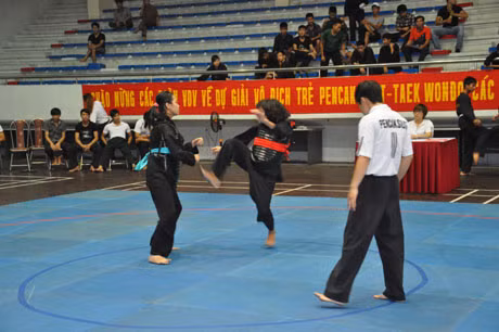 Các giải đấu thể thao như Pencak Silat đang rất cần sự chung tay của doanh nghiệp để phát triển mạnh hơn.