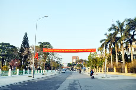 Đường phố Móng Cái rực rỡ cờ, hoa, biểu ngữ mừng Đảng, mừng xuân mới.
