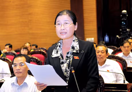 Đồng chí Đỗ Thị Hoàng, Phó Bí thư Thường trực Tỉnh uỷ, Trưởng Đoàn ĐBQH tỉnh phát biểu tại kỳ họp thứ 6, Quốc hội khoá XIII.