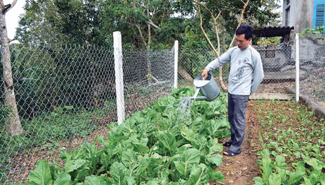 Công nhân Trạm Hải đăng Cô Tô tăng gia trồng rau xanh cải thiện bữa ăn.