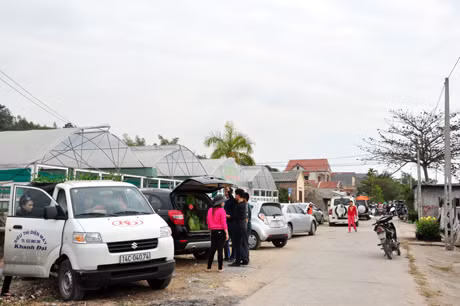 Làng hoà Đồng Chè, Hoành Bồ tấp nập người đến mua hoa dịp cận Tết.