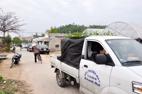 Ô tô chở hoa ra vào tấp nập.