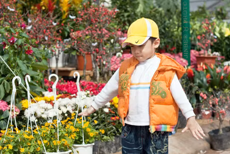 đến trẻ nhỏ ai cũng mê mẩn, thích thú với vẻ đẹp rực rỡ của hoa xuân.