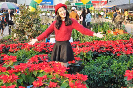 Giới trẻ thích thú tạo dáng bên hoa xuân.