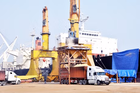 Thu hút hàng rời đang là mặt hàng chính giúp Cảng Quảng Ninh vượt qua những khó khăn thách thức năm 2014.