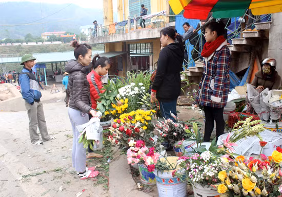 Thiếu nữ mua hoa trang trí nhà.