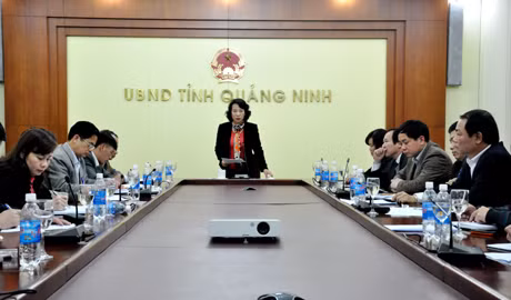 Đồng chí Vũ Thị Thu Thủy, Phó Chủ tịch UBND tỉnh kết luận cuộc họp.