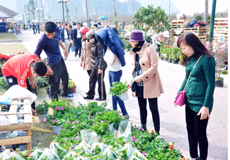 Các quầy hoa luôn tấp nập người mua.