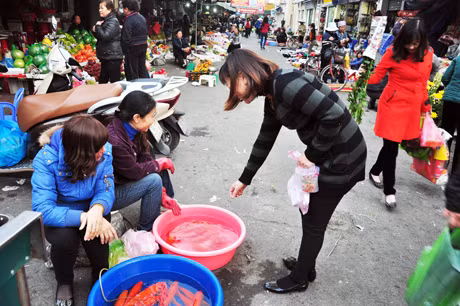 Ai cũng chọn cho gia đình mình những con cá chép to khoẻ để tiễn ông Táo về trời.