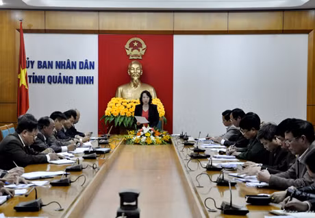 Đồng chí Vũ Thị Thu Thủy, Phó Chủ tịch UBND tỉnh kết luận hội nghị.