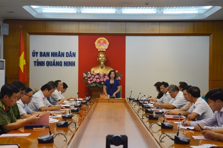 Đồng chí Vũ Thị Thu Thủy, Phó Chủ tịch UBND tỉnh phát biểu tại cuộc họp
