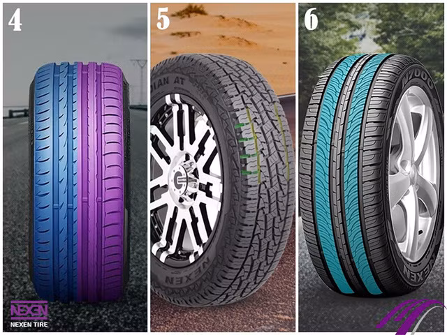 Từ trái qua phải: dạng bất đối xứng, dạng hình giun và xương sườn, dạng định hướng