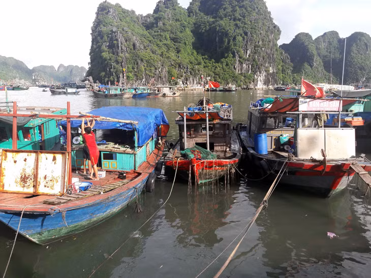 Rất nhiều phương tiện thuỷ dưới 20CV cập bến tại đây đều đã cũ nát và không có số hiệu.