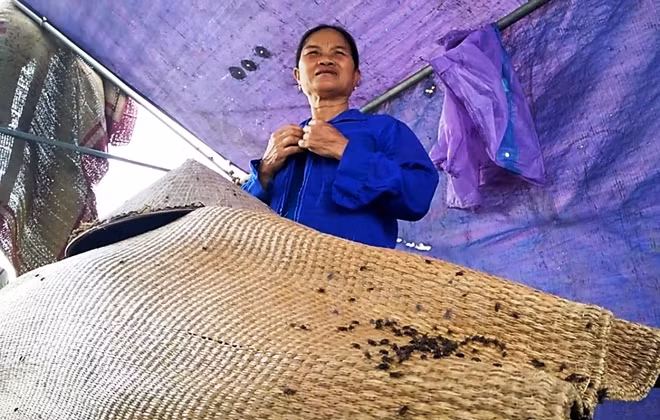 Ruồi bu tại khu vực dân dựng lán, chặn xe chở rác vào bãi rác Nam Sơn. (Ảnh: H.V/Vietnam+)