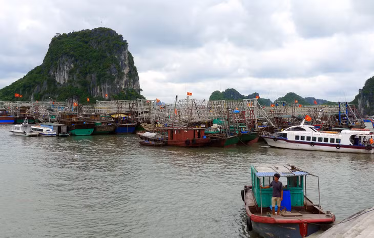phương tiện tàu cá của huyện đã được kêu gọi di chuyển vào các nơi tránh trú bão an toàn