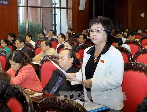Nguyên đại biểu Quốc hội Châu Thị Thu Nga. Ảnh: TTXVN