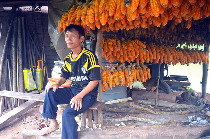 Ông Chìu Chăn Lỷ, thôn Nà Hắc đã có mấy chục năm tình nguyện gác rừng.