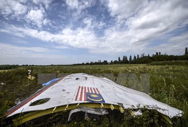 Mảnh vỡ máy bay MH17 tại khu vực gần làng Grabove, Donetsk, Ukraine ngày 20/7/2014. (Nguồn: AFP/TTXVN)