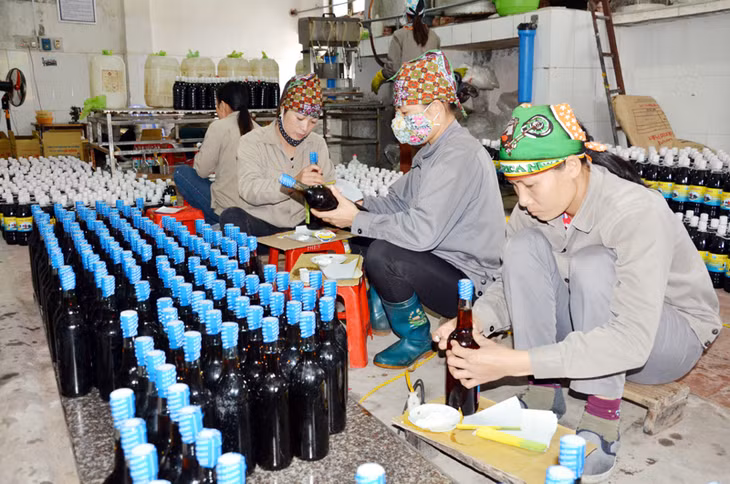 Nhiệm vụ nghiên cứu phương pháp enzyme vào cải tiến quy trình sản xuất nước mắm, do thiếu kinh phí, nên Công ty CP Thuỷ sản Cái Rồng (huyện Vân Đồn) đã không duy trì.