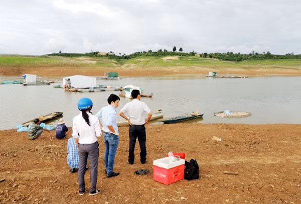 Nhiều người dân thẫn thờ vì sau một đêm bao nhiêu tài sản đổ vào bè cá đã bị mất trắng.