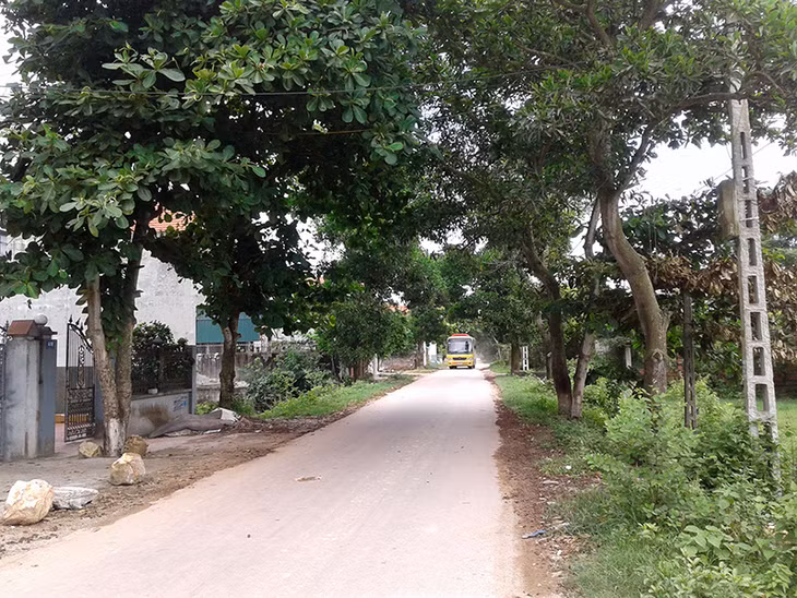 Đường Nguyễn Công Bao, đoạn chạy qua xã Cẩm La.