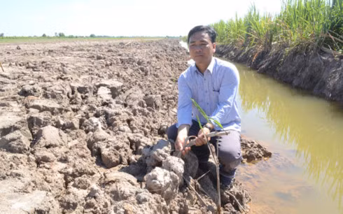 Anh Thật buồn rầu vì rẫy mía 25 công đã bị san phẳng hơn 3 tháng qua vẫn chưa được cơ quan giải quyết