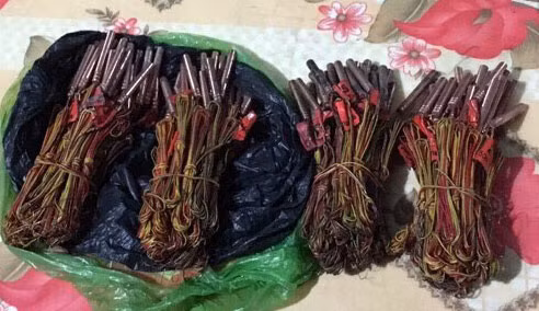 Tang vật thu giữ được.