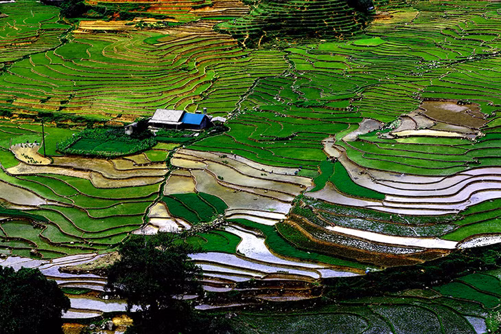 Màu xanh của no ấm.