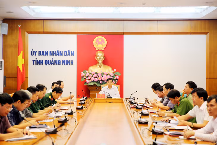 BQN_4135.jpg