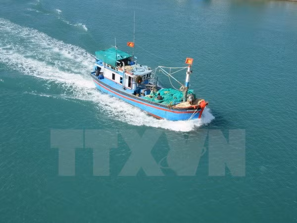 Ảnh minh họa. (Nguồn: TTXVN)