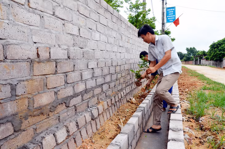 Người dân thôn Khê Thượng (xã Việt Dân) trồng cây hoa, cây cảnh dọc tuyến đường trục thôn. Ảnh: Phương Thúy