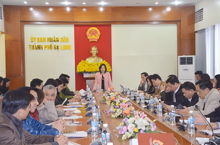 Sáng ngày 3-2, đồng chí Vũ Thị Thu Thủy, Phó Chủ tịch UBND tỉnh phát biểu tại hội nghi