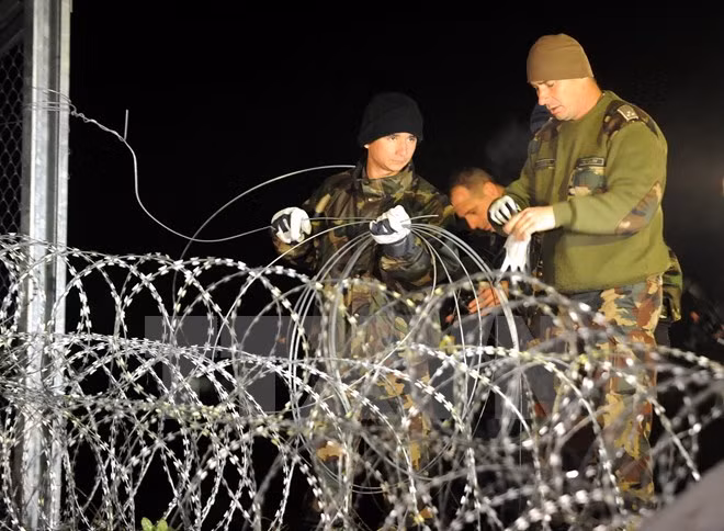Binh sỹ Hungary dựng hàng rào dây thép gai để ngăn dòng người nhập cư vào nước này. (Ảnh: Reuters/TTXVN)