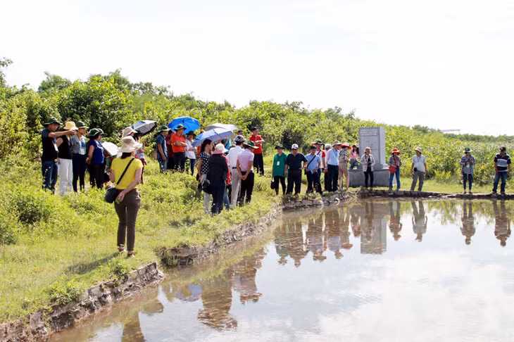 Khách du lịch tham quan di tích Bãi cọc Bạch Đằng, phường Yên Giang (TX Quảng Yên).