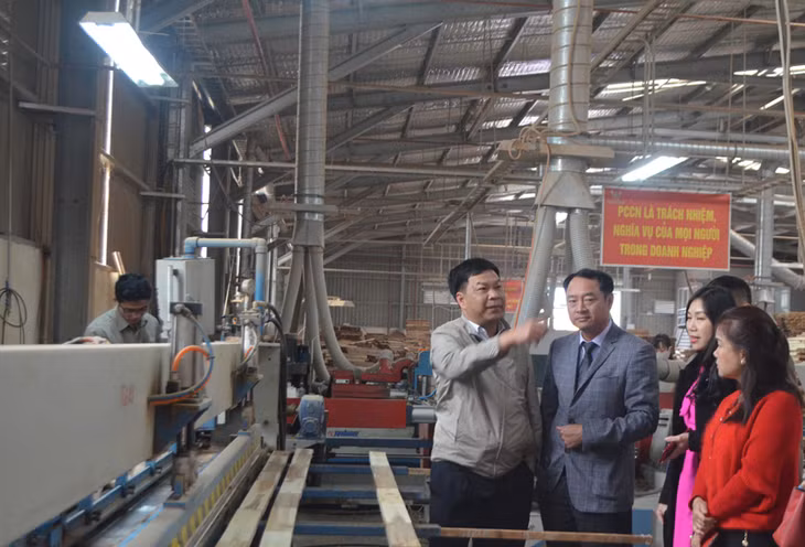 Hội doanh nhân trẻ thăm Công ty TNHH KHKT Texhong chi nhánh Hải Hà và Nhà máy chế biến gỗ của Công ty TNHH Thanh Lâm huyện Đầm Hà.
