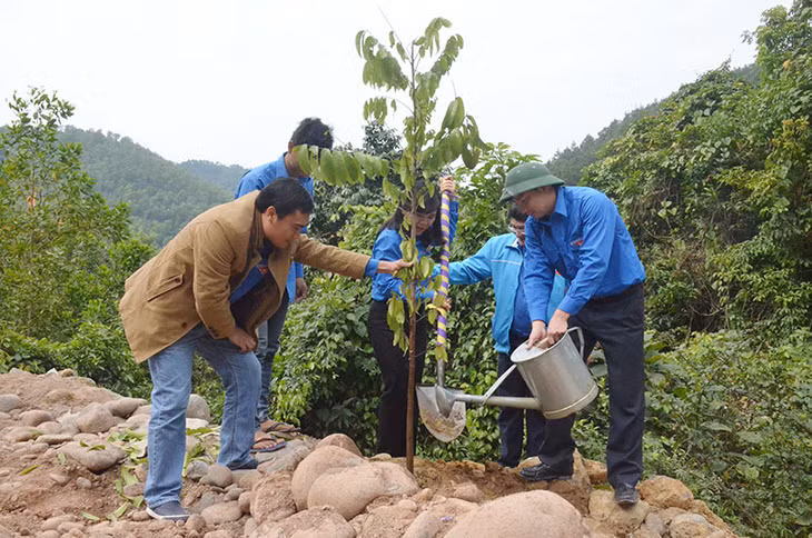 Lực lượng ĐVTN tham gia trồng cây dọc tuyến đường Đại Phong (huyện Tiên Yên)