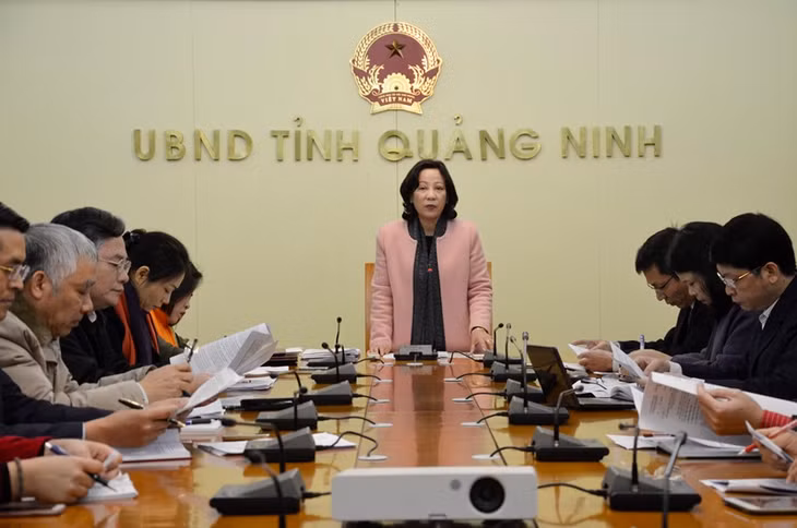 đồng chí Vũ Thị Thu Thủy, Phó Chủ tịch UBND tỉnh, Trưởng Ban Chỉ đạo thực hiện lộ trình bảo hiểm y tế (BHYT) toàn dân 