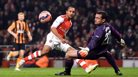 Walcott và đồng đội sẽ có thêm một kỷ niệm đẹp trước Hull vào tối nay