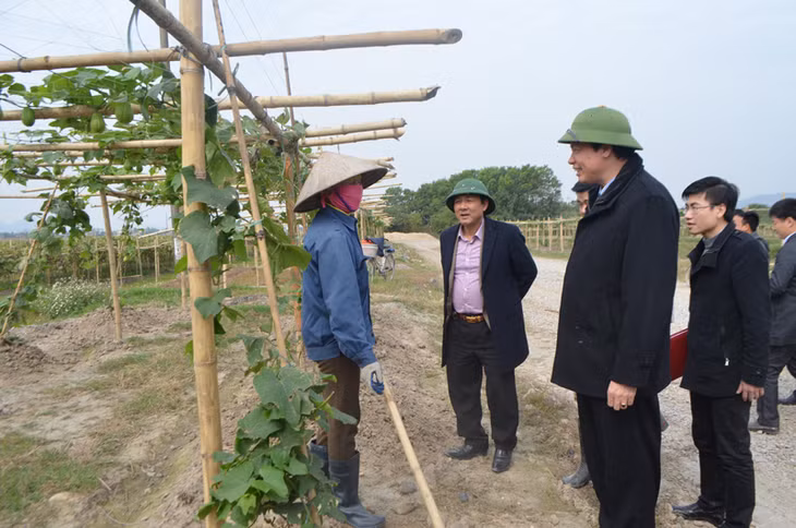Đồng chí Chủ tịch UBND tỉnh động viên, thăm hỏi các công nhân nông nghiệp trực tiếp trồng rau quả tại dự án.