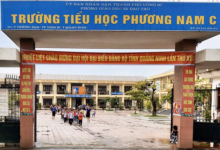 Các giáo viên trẻ Trường