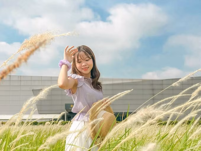  Đoạn đường Nguyễn Văn Huyên kéo dài ở Starlake - chung cư Ngoại Giao Đoàn (Bắc Từ Liêm) vài tháng gần đây thành điểm check-in được nhiều bạn trẻ săn tìm vì có 3 đồng cỏ lau trắng trải rộng mênh mông. Khu vực này cách trung tâm khoảng 8 km. Ảnh: Ngân Hà