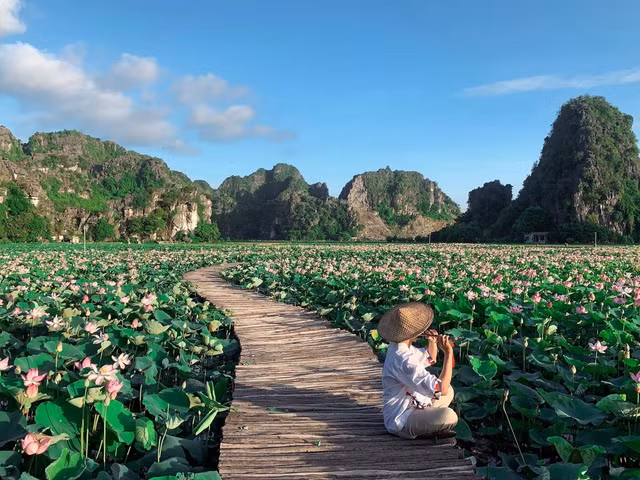 Hồ sen Hang Múa đang trở thành một trong những điểm sống ảo được yêu thích khi tới Ninh Bình.