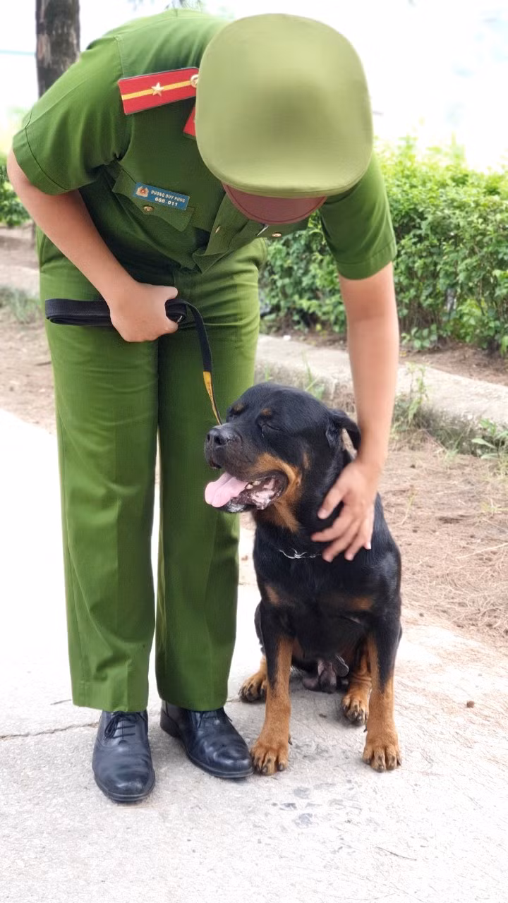 Những phút giây tình cảm của hai 