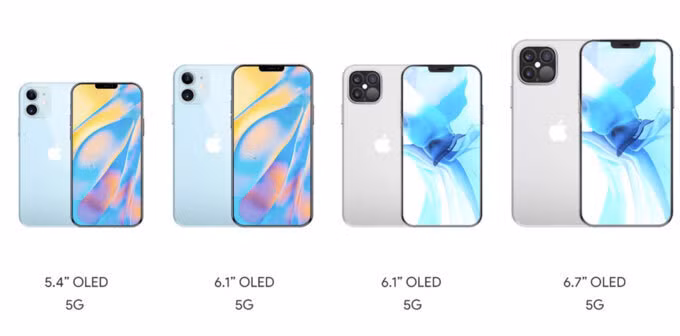 Lần lượt từ trái qua phải được dự đoán là iPhone 12 mini, iPhone 12, iPhone 12 Pro và iPhone 12 Pro Max.