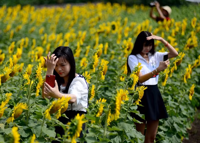 Những người không có máy ảnh thì tự tạo dáng, chụp bằng điện thoại.
